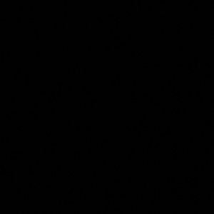 Meet your Posher, Vannessa